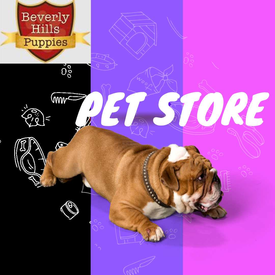 BeverlyHills Puppies Profile Picture