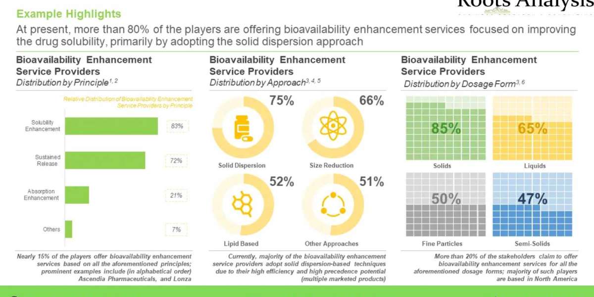 The bioavailability enhancement services market