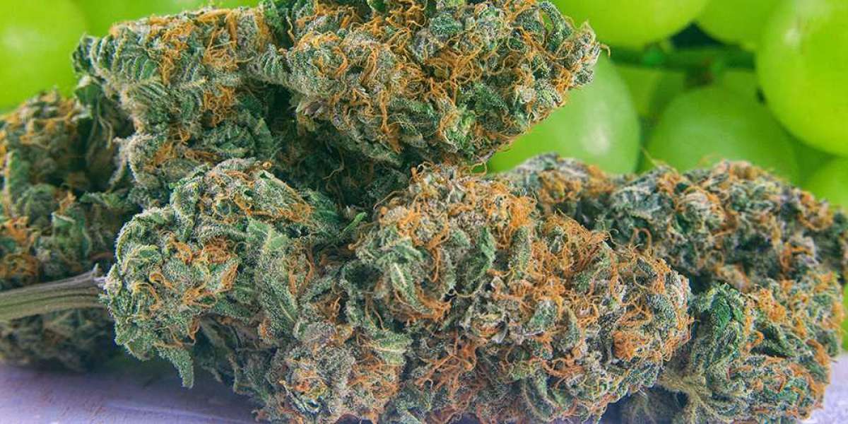 The Best OG Strains: A Guide to the Classic Cannabis Varieties