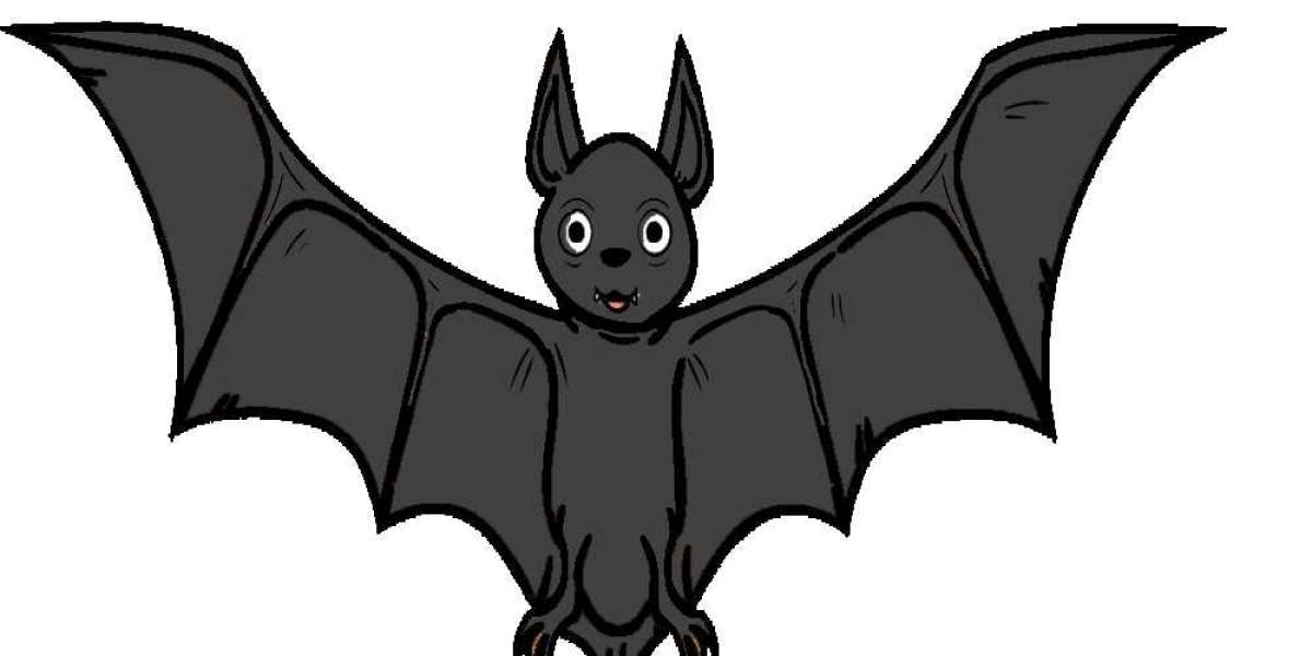 How to Draw Bat Drawing