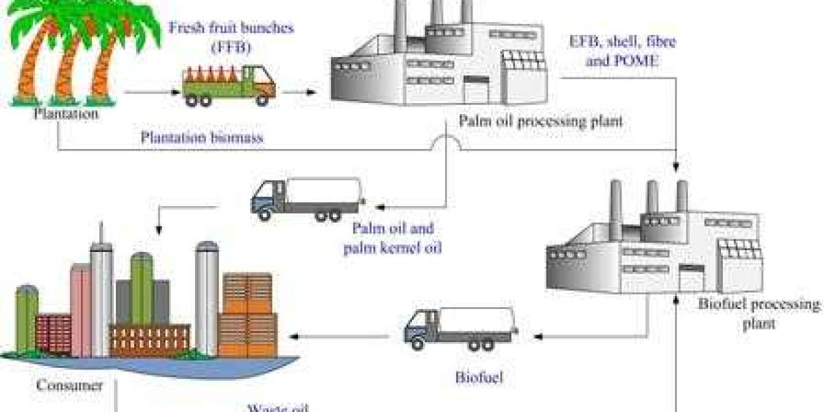 What are the Many Processes of India's best Palm Oil Processing Plant?