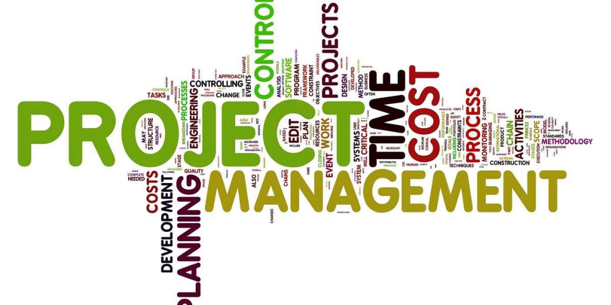 Cómo convertirse en la gestión de proyectos magistral