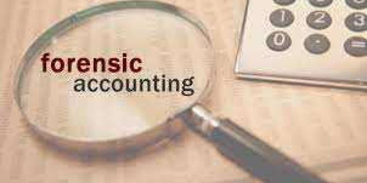 Forensic Accounting Market Segmentation, Competitive Landscape and Industry Poised for Rapid Growth 2030