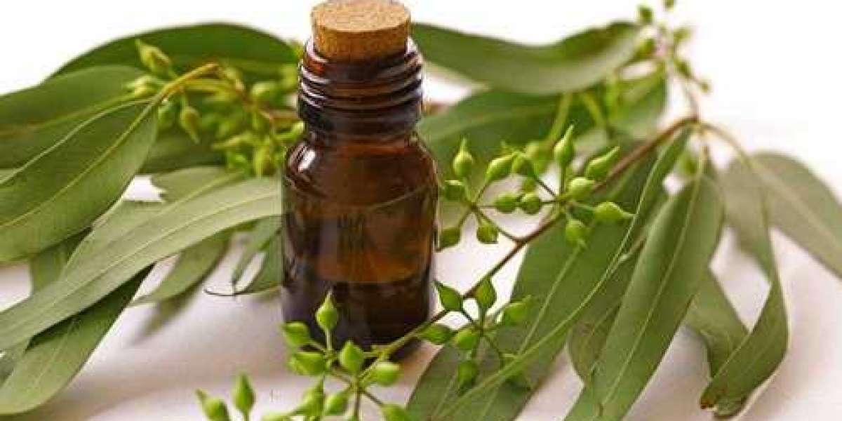 Conventional Eucalyptus Oil Market Future Growth Prospects by 2030