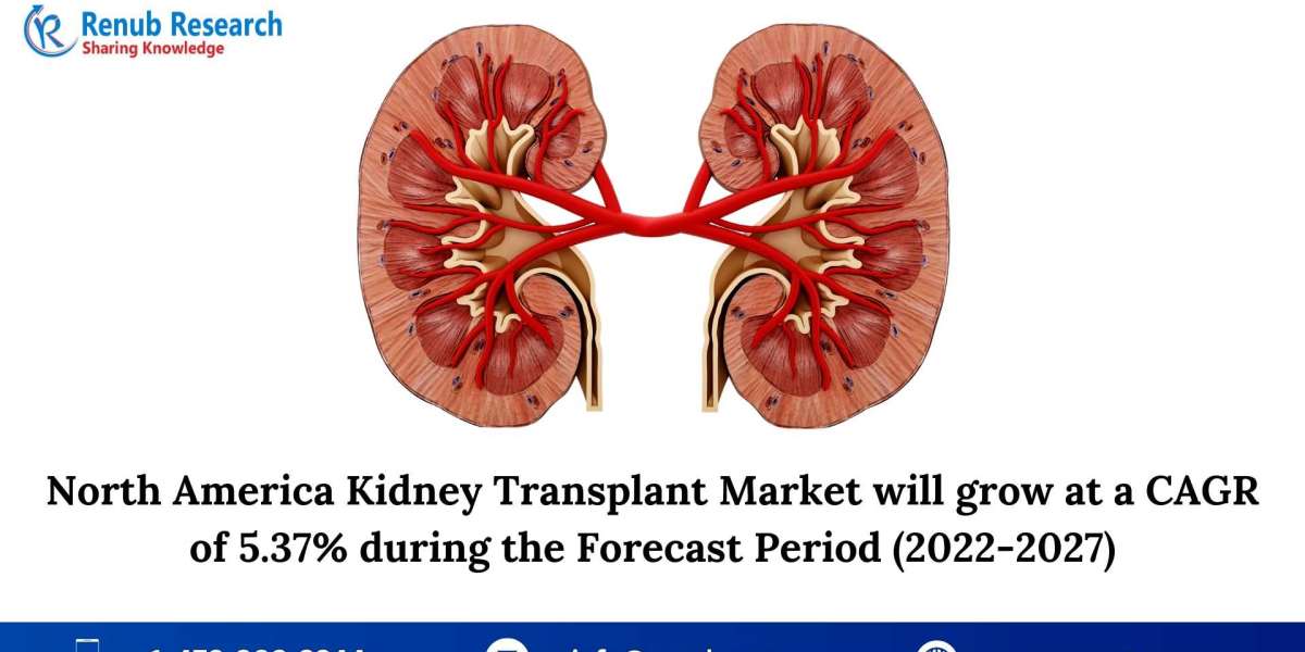 North America Kidney Transplant Market, Size, Share, Growth, Forecast 2023 – 2028 | Renub Research