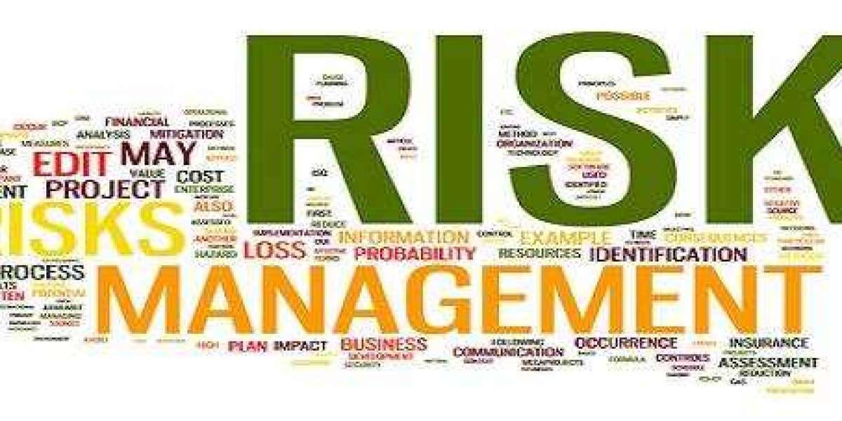 Risk Management Assignment Help Online