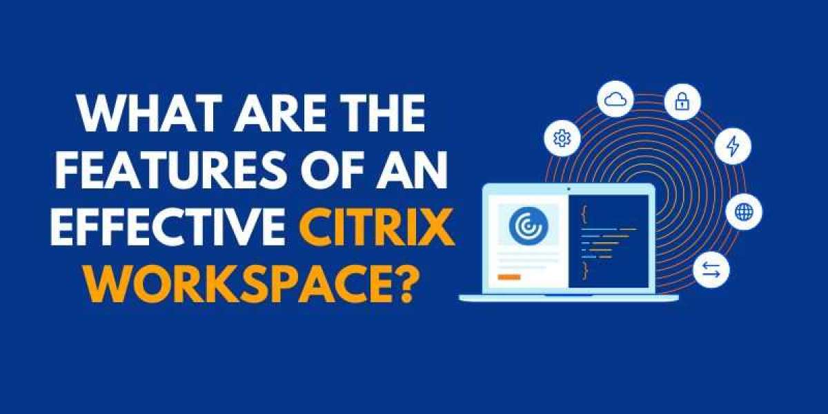 What are the Features of an Effective Citrix Workspace?