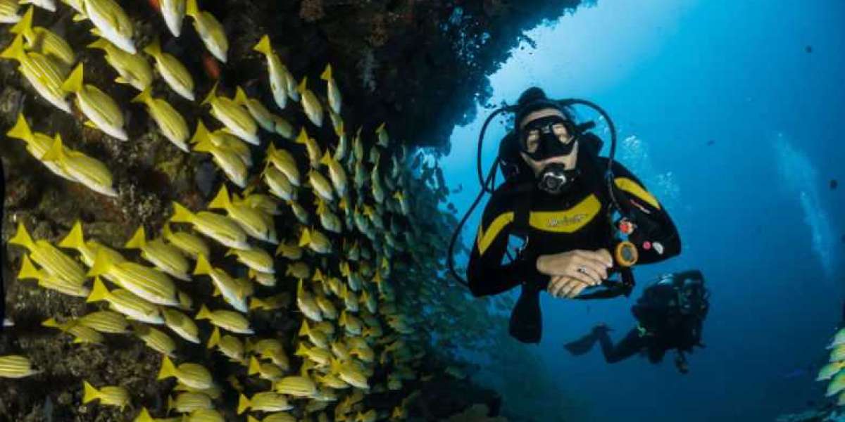 Scuba Diving in Andaman: Things to Remember