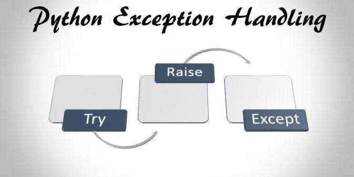 How to Customize Python Exception Handling