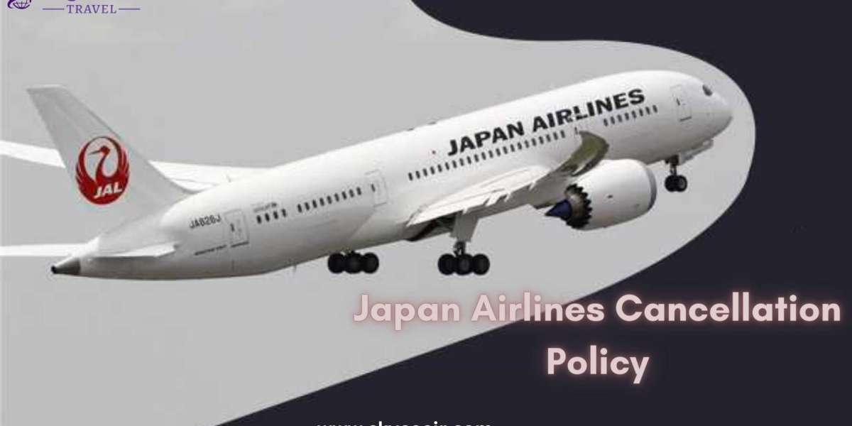 Can You Cancel A Flight Within 24 Hours Of Japan Airlines?