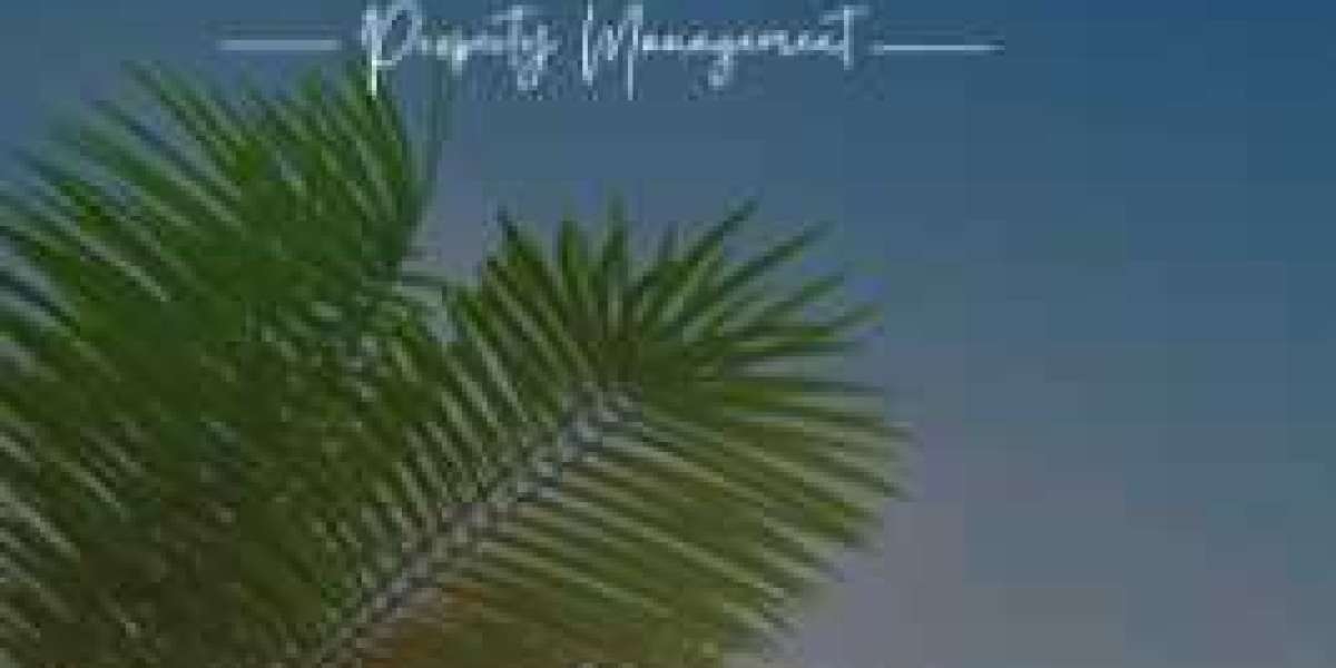 Cabo Property Management: A Comprehensive Guide for Property Owners