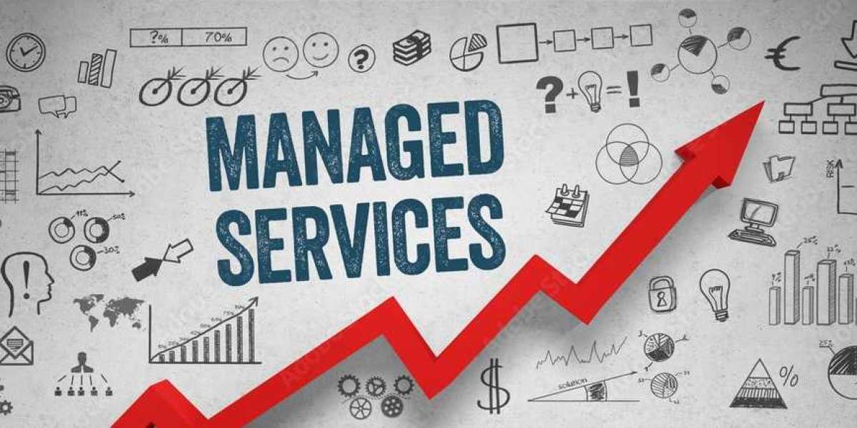 Empowering Business Excellence with Managed NOC Services