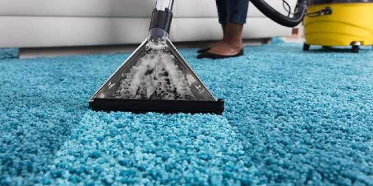 Step Into Clean: Professional Carpet Cleaning Services That Transform