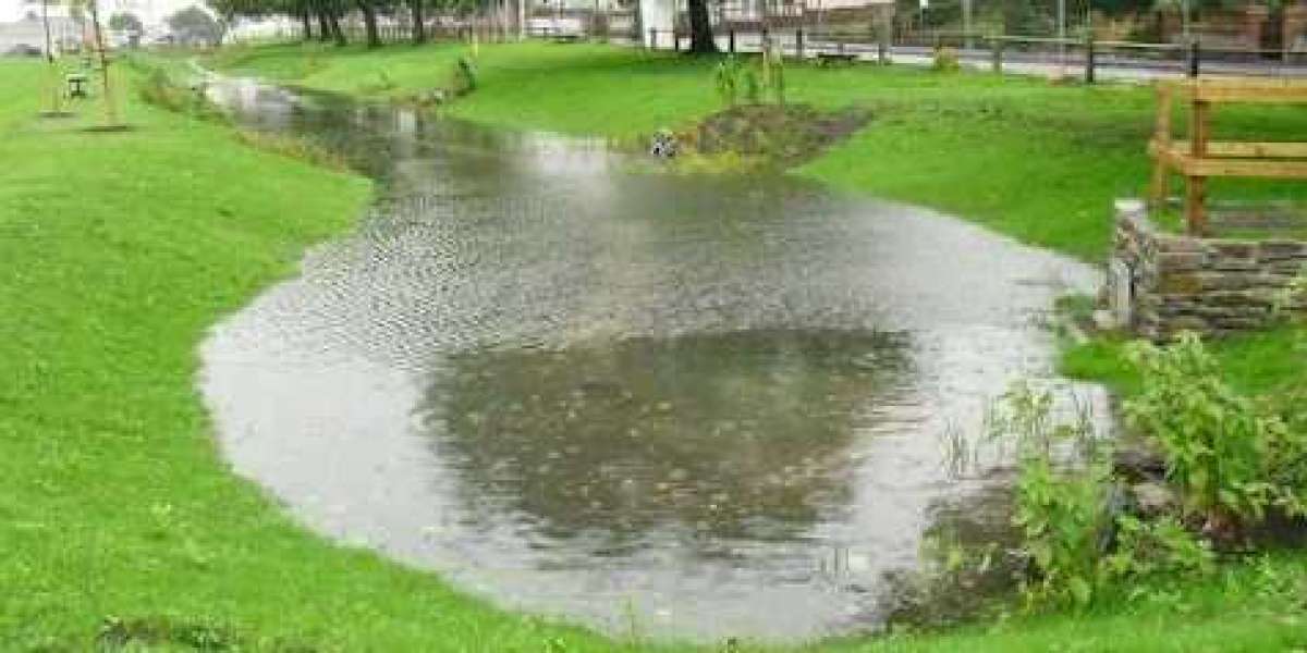 A Guide to Sustainable Drainage Systems (SuDS)