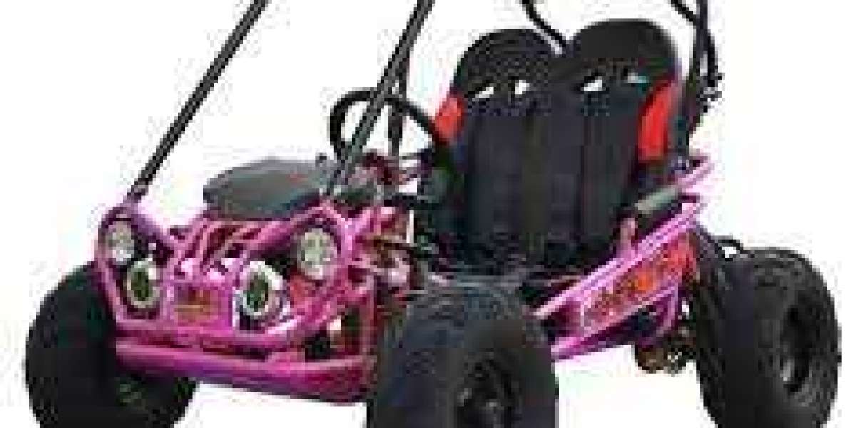 Unleashing the Thrill: The Mini Go Kart Experience