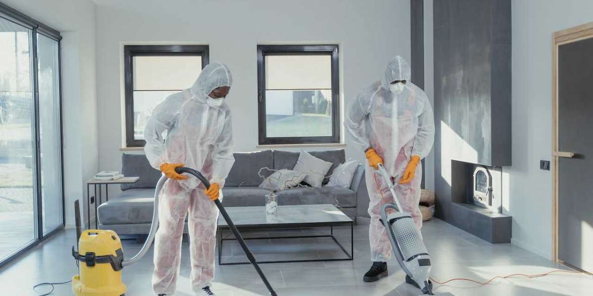 The Secret to Beautiful Carpets Professional Cleaning Services Unveiled