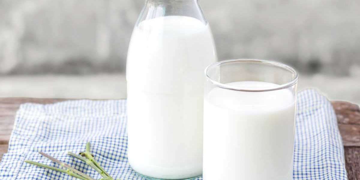 Milk Processing Plant Project Report, Machinery Requirement, Business Plan, Manufacturing Process, Plant Cost and Raw Ma