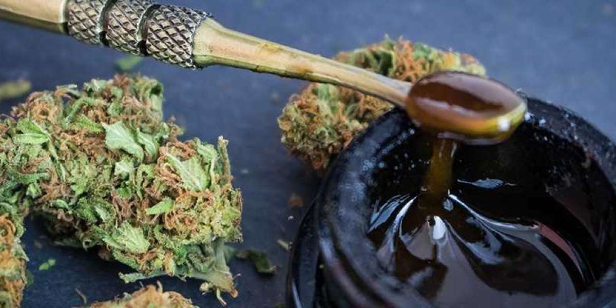 Exploring Medical Marijuana Concentrates in Canada: A Comprehensive Guide