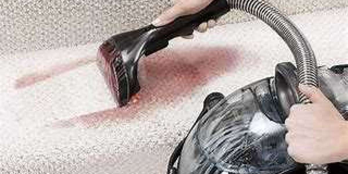 The Ultimate Guide to Professional Carpet Cleaning Services
