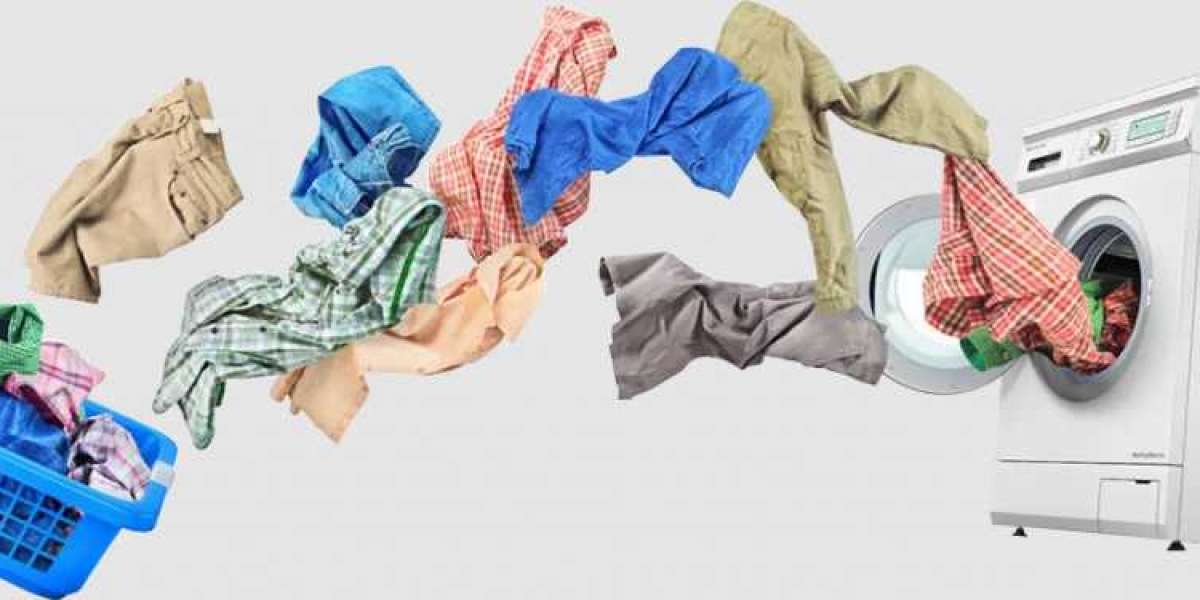 Best Laundry Service in India