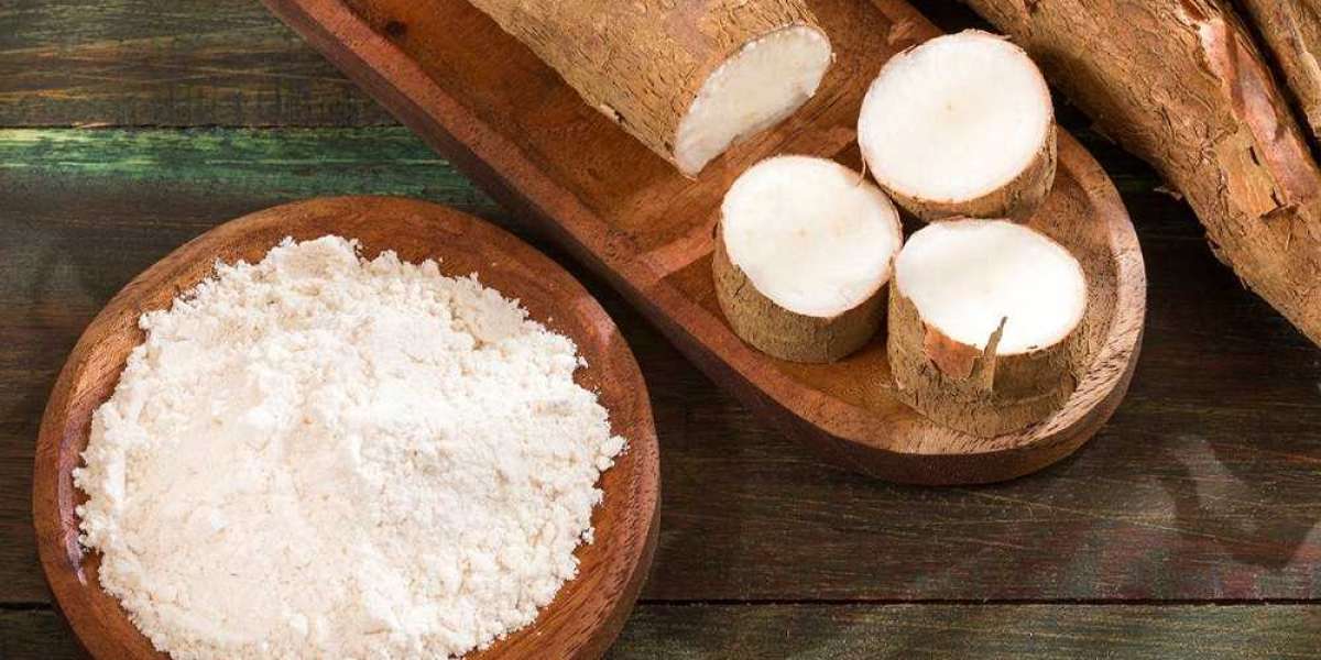 Cassava Starch Plant Project Report 2023: Manufacturing Process, Plant Setup, Business Plan, and Cost Involved