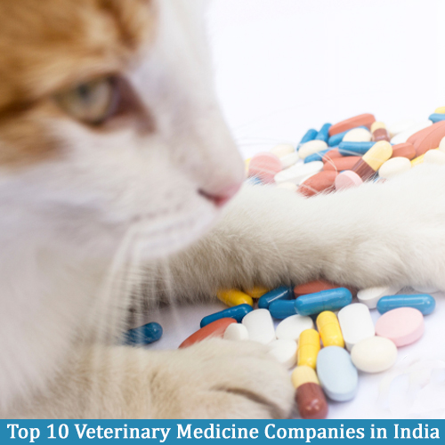 Top 10 Veterinary Medicine Companies, Veterinary Medicine Manufacturers