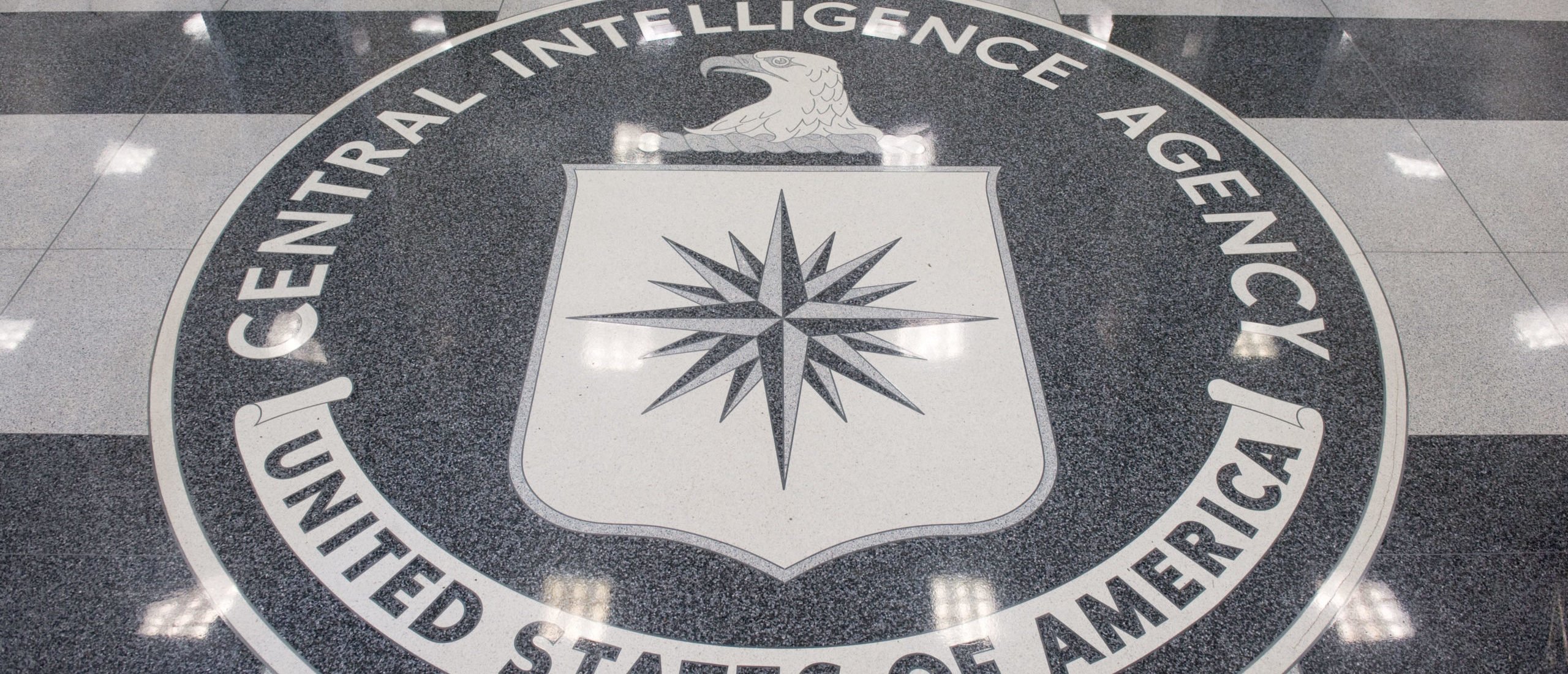 EXCLUSIVE: Meet The Senior CIA Official Caught Posting Pro-Palestinian Content On Social Media | The Daily Caller