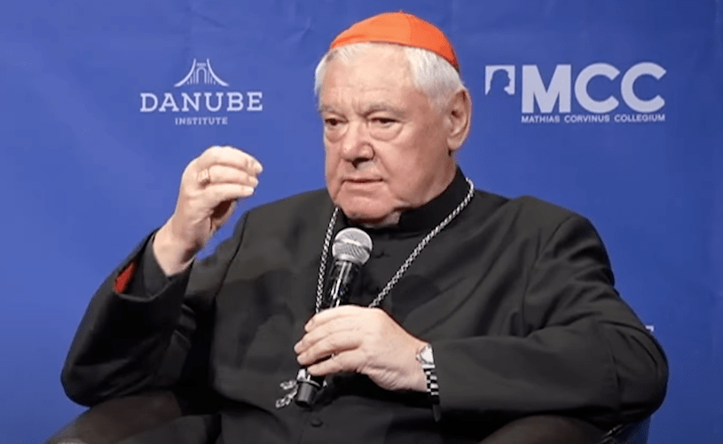 Cardinal Müller slams rising ‘totalitarianism’ in NatCon interview: ‘We are not slaves of the state’ – Allah's Willing Executioners