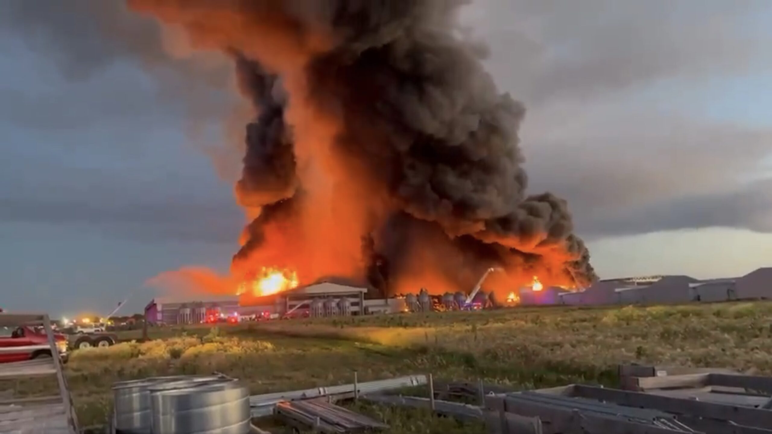 Millions of Chickens Killed in 5-Alarm Fire at Farina Farms Inc. in Illinois, One of Nation's Largest Free-Range Egg Facilities (VIDEO) | The Gateway Pundit | by Jim Hᴏft
