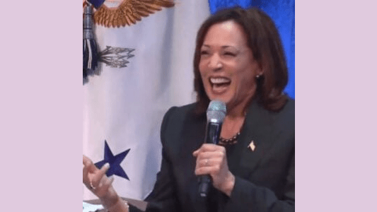 That Was Quick: Kamala Harris’s Mental Health Comes into Question Now that Joe Biden Gives Miss Word Salad the Nod for 2024 – Allah's Willing Executioners